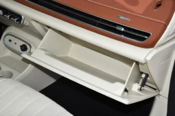 
										GWM Ora Funky Cat full									