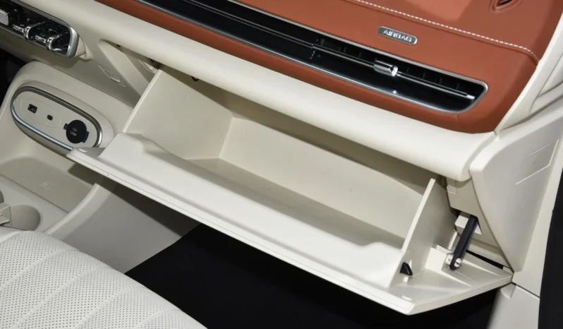 
								GWM Ora Funky Cat full									