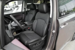 
										GAC Trumpchi M8 full									
