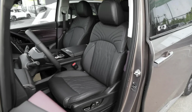 
								GAC Trumpchi M8 full									