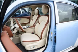 
										GWM Ora Ballet Cat full									