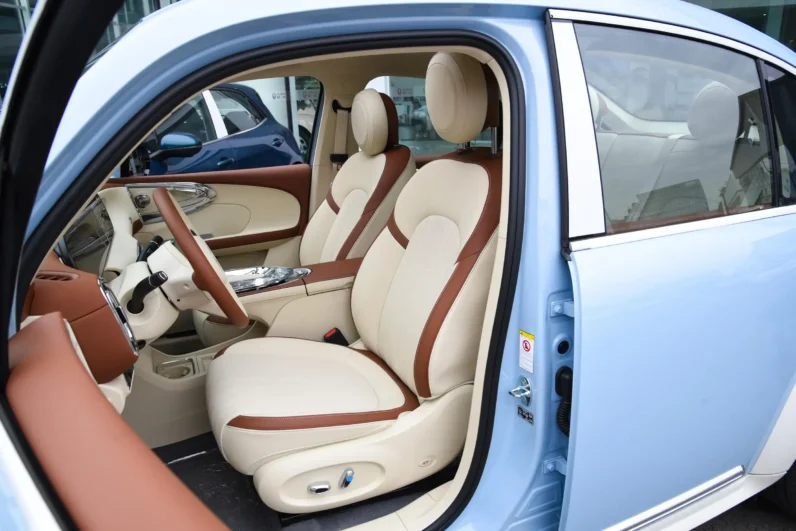 
								GWM Ora Ballet Cat full									