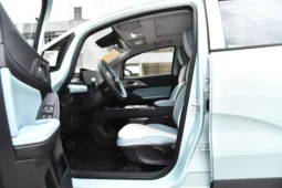 
										Geely Geometry E Firefly full									