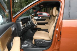 
										Hyundai Santa Fe full									