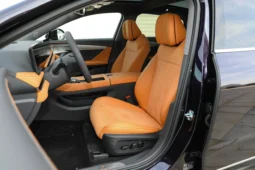 
										Voyah Passion PHEV full									