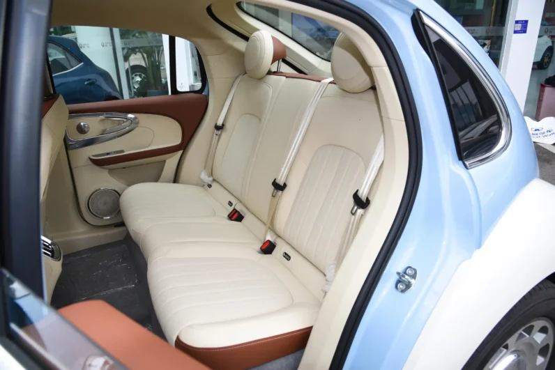 
								GWM Ora Ballet Cat full									