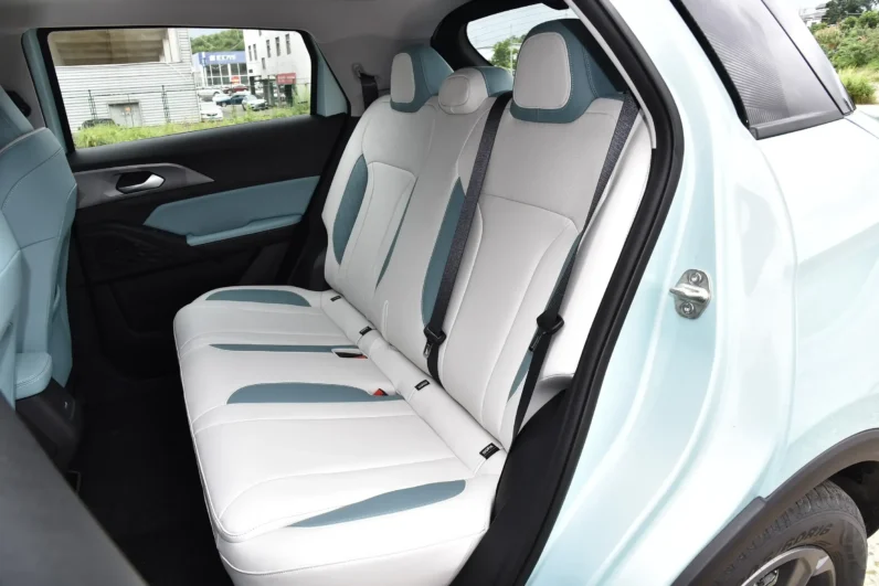 
								Geely Geometry E Firefly full									