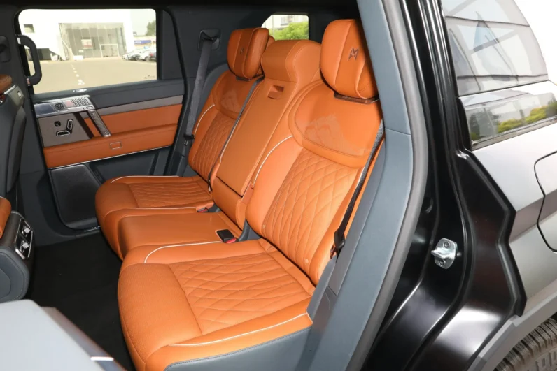 
								M-Hero 917 REEV full									