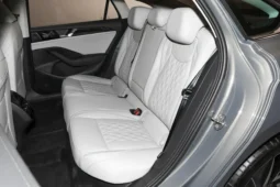 
										Volkswagen Magotan full									