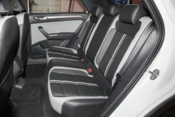 
										Volkswagen T-Roc full									