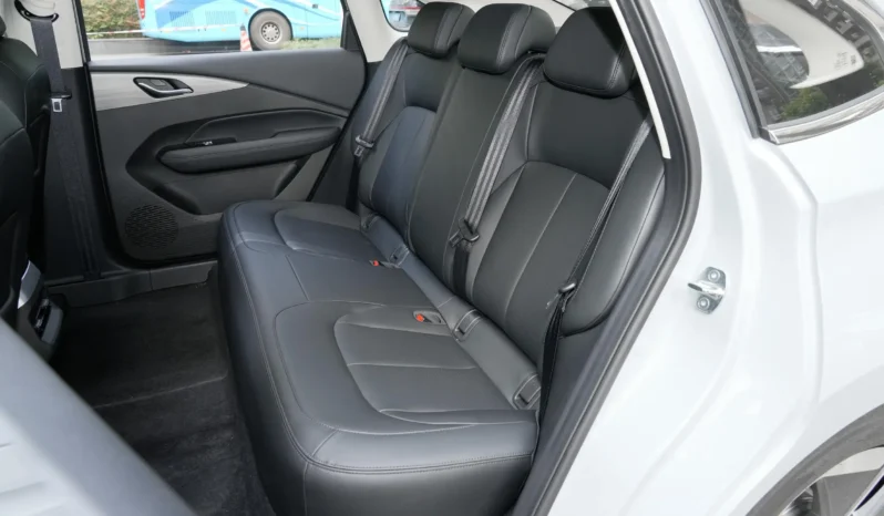 
								Wuling Xingguang EV full									