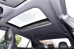 
										GAC Trumpchi Empow full									