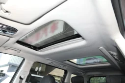 
										GAC Trumpchi M8 full									