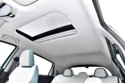 
										Geely Geometry E Firefly full									