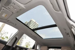 
										Hongqi HS5 full									