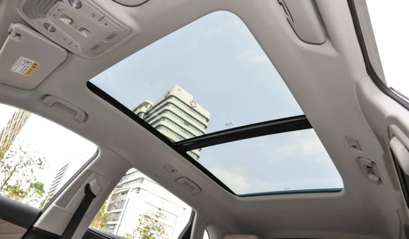 
								Hongqi HS5 full									