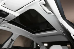 
										Volkswagen Magotan full									