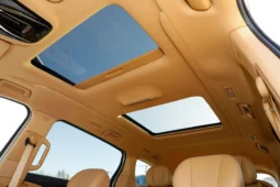 
										Voyah Dreamer PHEV full									