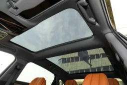 
										Voyah Passion PHEV full									