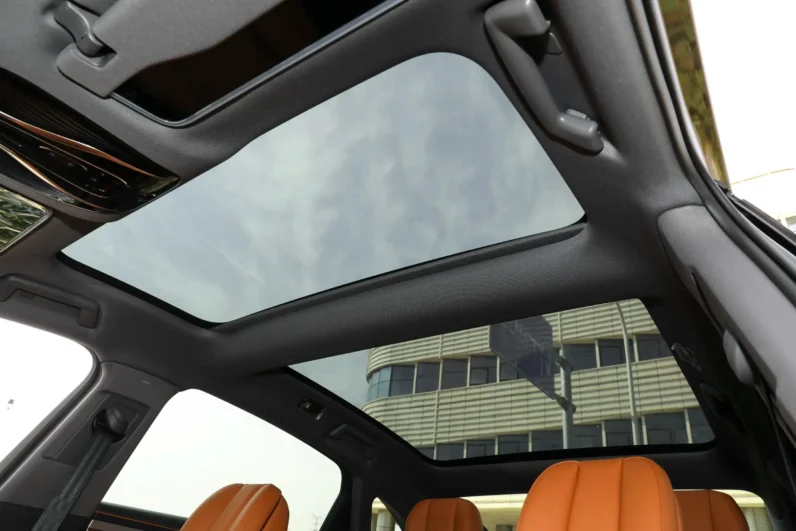 
								Voyah Passion PHEV full									