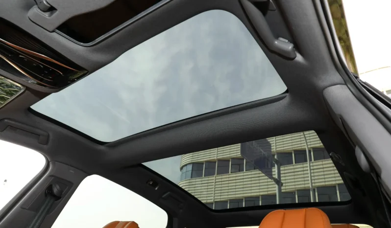 
								Voyah Passion PHEV full									