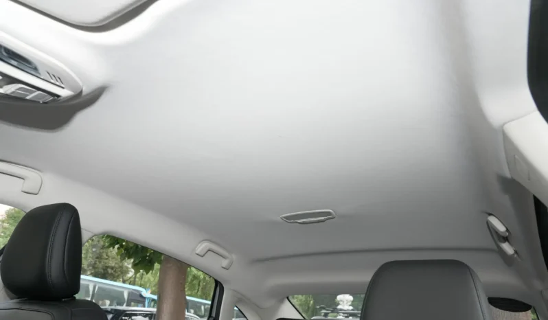 
								Wuling Xingguang EV full									