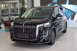 
										Hongqi HQ9 PHEV full									