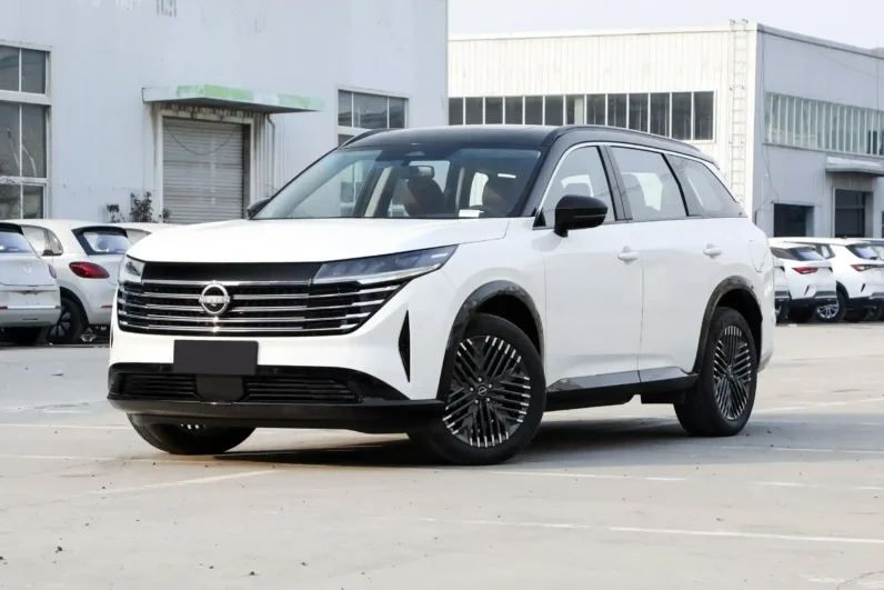 
								Nissan Pathfinder full									