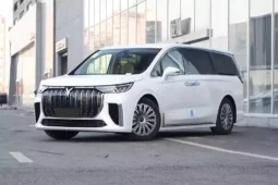 
										Voyah Dreamer PHEV full									