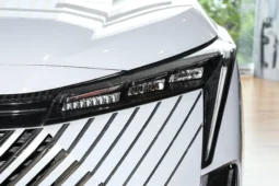 
										GAC Trumpchi Emkoo full									