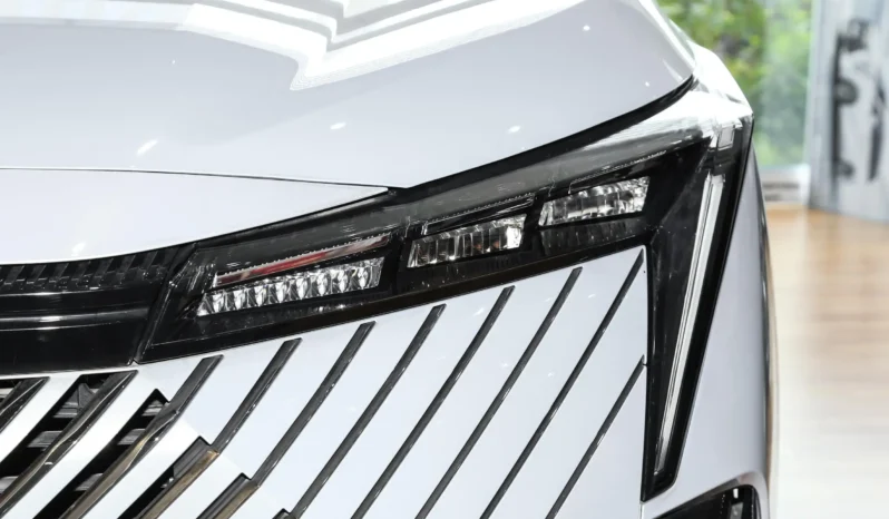 
								GAC Trumpchi Emkoo full									