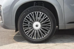 
										Chery Tiggo 9 full									