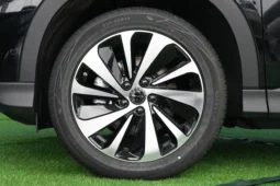 
										BYD Song PLUS EV full									