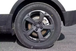 
										Geely Geometry E Firefly full									