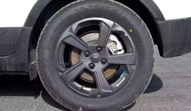 
								Geely Geometry E Firefly full									