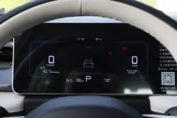 
										Geely Geometry E Firefly full									