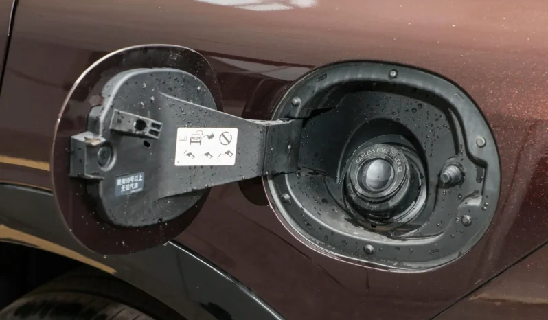 
								Nissan Pathfinder full									