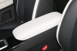 
										Geely Geometry E Firefly full									