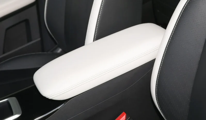 
								Geely Geometry E Firefly full									