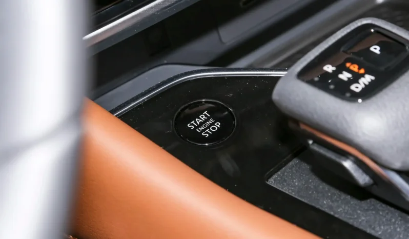 
								Nissan Pathfinder full									