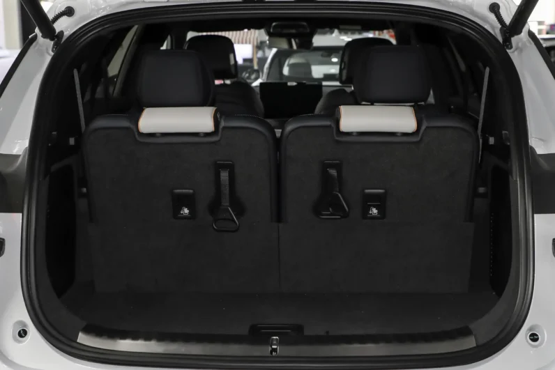 Imgi 2 BYD Tang EV 2024 space