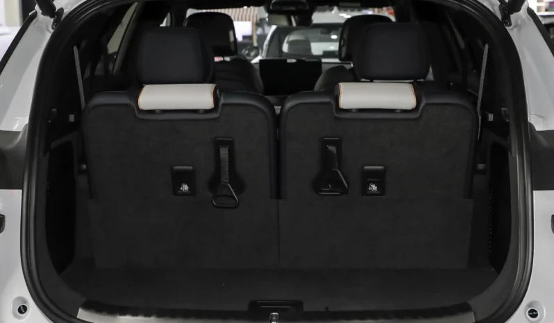 Imgi 2 BYD Tang EV 2024 space