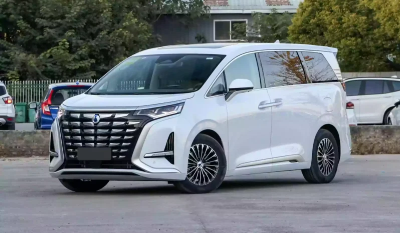 Imgi 3 Denza D9 DM i 2023 appearance