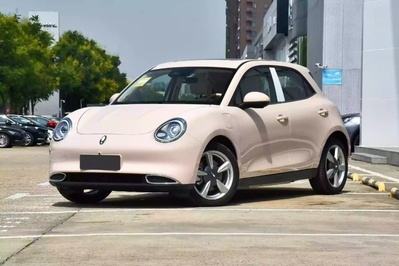 Imgi 3 GWM Ora Funky Cat 2023 appearance