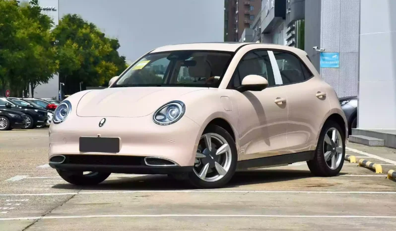 Imgi 3 GWM Ora Funky Cat 2023 appearance