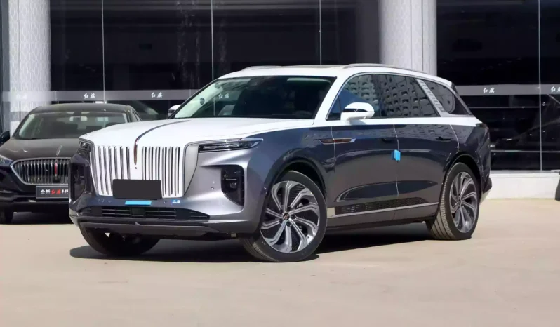 Imgi 3 Hongqi E HS9 2022 appearance