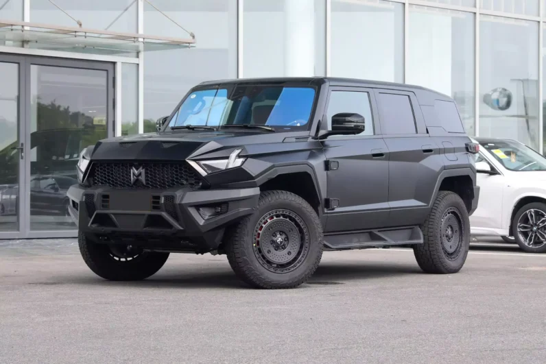 Imgi 3 M Hero 917 EV 2023 appearance