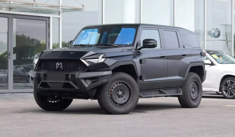 Imgi 3 M Hero 917 EV 2023 appearance