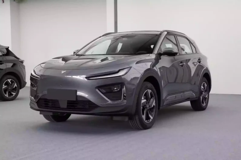 Imgi 3 Neta X 2023 appearance