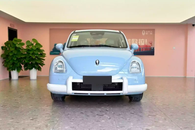 
								GWM Ora Ballet Cat full									